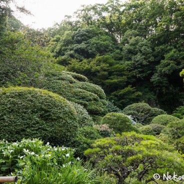Temple Hokoku-ji à Kamakura, Jardin du temple 4
