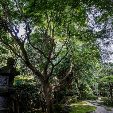 Temple Hokoku-ji à Kamakura, Jardin du temple