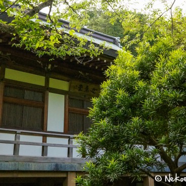 Temple Hokoku-ji à Kamakura 3