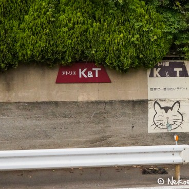 Alentours du Temple Hokoku-ji à Kamakura