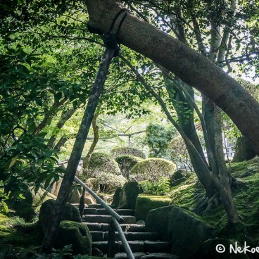 Temple Hokoku-ji à Kamakura, Jardin du temple 2