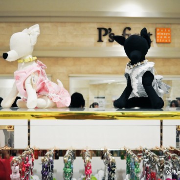 Magasin Chiens Et Chats Odaiba 2