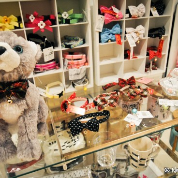 Magasin Chiens Et Chats Odaiba 3