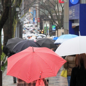 Avenue Omotesando (Tokyo), Affluence un jour de pluie