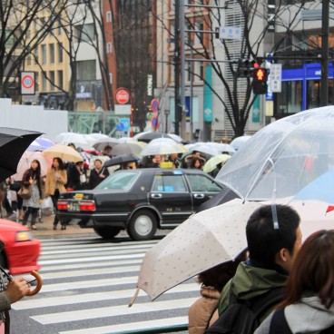 Avenue Omotesando (Tokyo), Affluence un jour de pluie 2