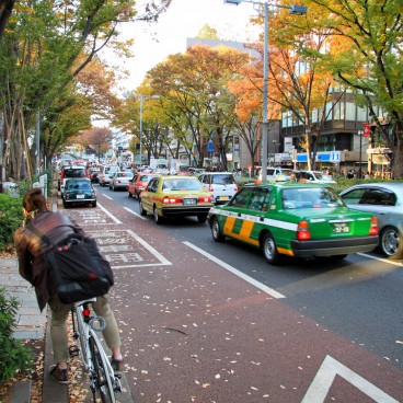 Avenue Omotesando (Tokyo), Circulation en automne 2