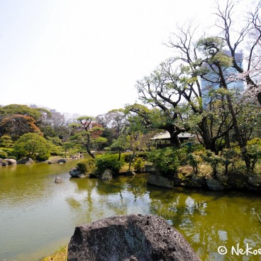 Keitaku-en (Osaka), Vue sur l'étang du jardin japonais, la maison de thé et les pruniers en fleur