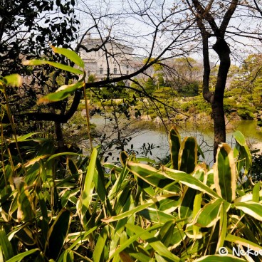 Keitaku-en (Osaka), Musée municipal des Beaux-arts d'Osaka