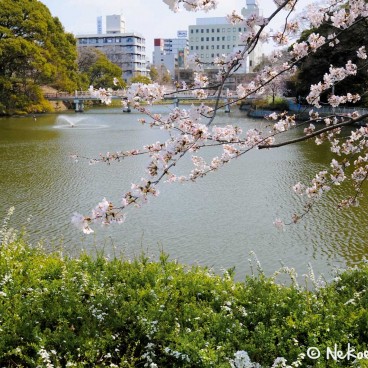 Keitaku-en (Osaka), Pont Wake reliant Cha-usu-yama au parc Tennoji