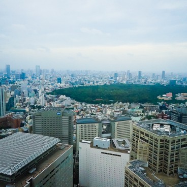 Shinjuku Observation 2