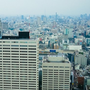 Shinjuku Observation 9