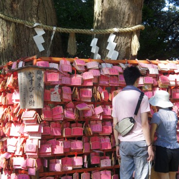 Enoshima-jinja, Plaques votives ema