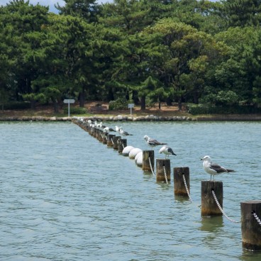 Parc Ohori (Fukuoka), Vue sur le lac