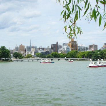 Parc Ohori (Fukuoka), Vue sur le lac et la ville