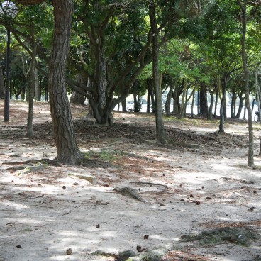 Parc Ohori (Fukuoka) 2