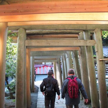 Tunnel de torii en bois à Zeniarai Benten
