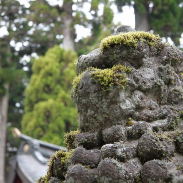 Hakone-jinja, Lion-gardien couvert de mousse