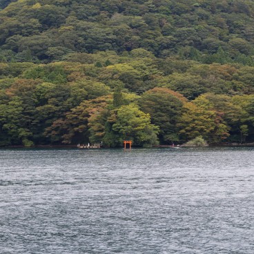 Lac Ashi (Hakone), vue sur un torii et la forêt