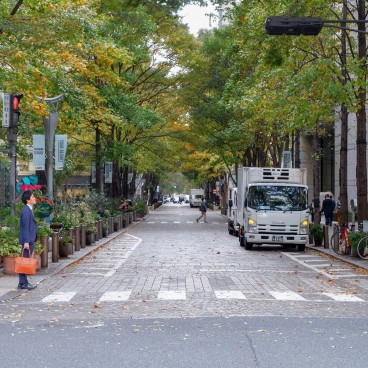 Avenue Naka-dori à Marunouchi (Tokyo)