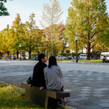 Marunouchi (Tokyo), allée de ginkgos jaunes entre la gare et les douves impériales (Gyoko-dori)