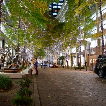 Avenue Naka-dori à Marunouchi (Tokyo) 2