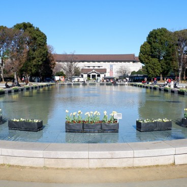 Parc de Ueno, Musée National de Tokyo