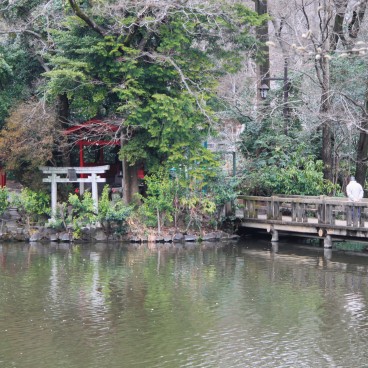Parc Inokashira, vue sur l'étang et la petite ile aux torii