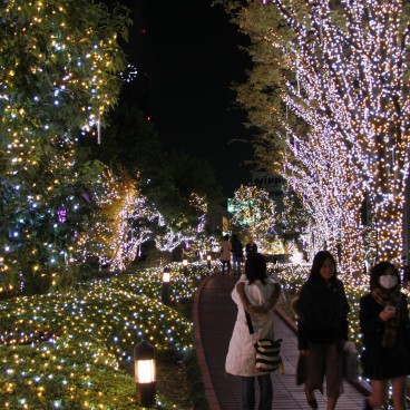 Shinjuku Southern Terrace, illuminations