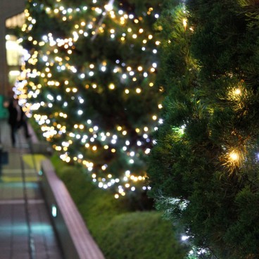 Shinjuku Southern Terrace, illuminations 7