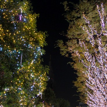 Shinjuku Southern Terrace, illuminations 9