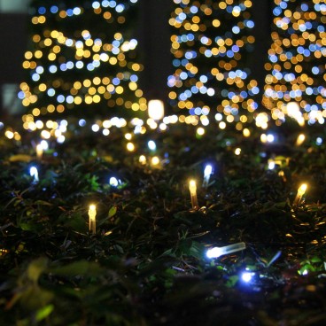 Shinjuku Southern Terrace, illuminations 10