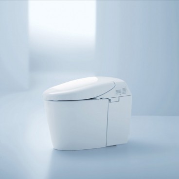 Toilettes Japonaises