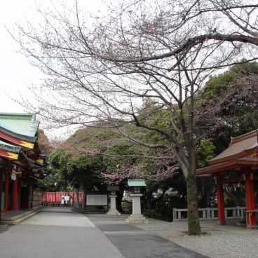 Hie-jinja (Tokyo), esplanade principale du sanctuaire