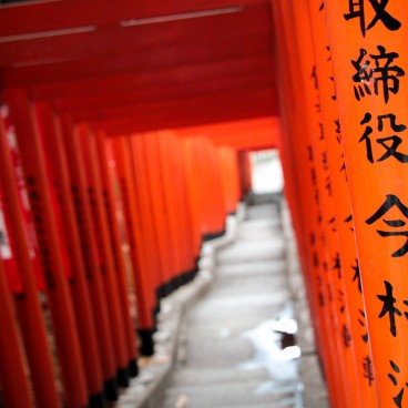 Hie-jinja (Tokyo), allée de Torii vermillons du sanctuaire secondaire Inari 3