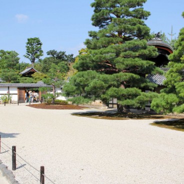 Tenryu-ji (Arashiyama, Kyoto), vue sur les pins dans l'enceinte du temple