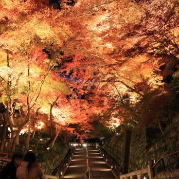 Kiyomizu-dera (Kyoto), illuminations nocturnes en période de Koyo 2