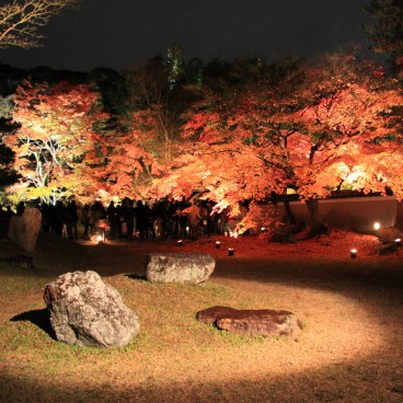 Kodai-ji (Kyoto), illuminations nocturnes en période de Koyo 2