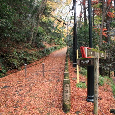 Parc de Minoh (Osaka), feuilles d'érables rouges au sol