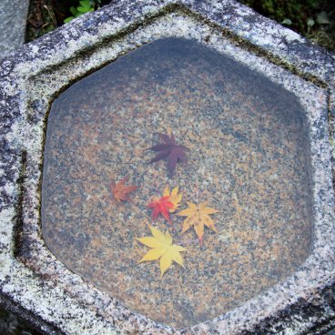 Tofuku-ji (Kyoto), feuilles d'érables colorées dans un bassin d'eau