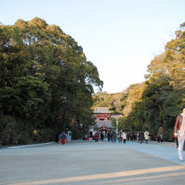 Tsurugaoka Hachiman-gu (Kamakura), allée intérieure principale du sanctuaire
