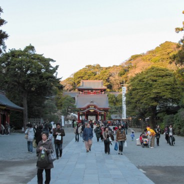 Tsurugaoka Hachiman-gu (Kamakura), allée intérieure principale du sanctuaire 4