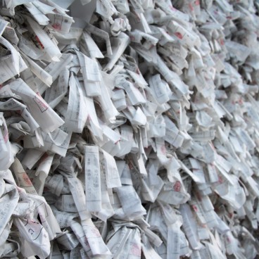 Tsurugaoka Hachiman-gu (Kamakura), papiers divinatoires Omikuji du sanctuaire
