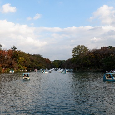 Parc Inokashira à Kichijoji en automne