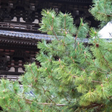Kofuku-ji (Nara), détail de la pagode à 5 étages