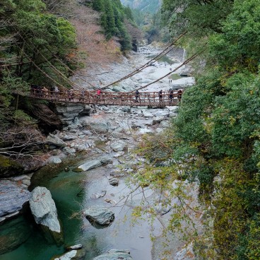 Vallée d'Iya (Shikoku), Pont Iya-Kazurabashi