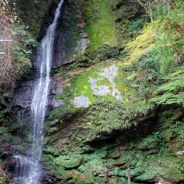 Vallée d'Iya à Shikoku 2