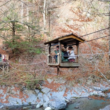 Vallée d'Iya (Shikoku), Pont du singe sauvage 2