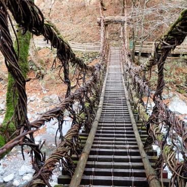 Vallée d'Iya (Shikoku), Pont Oku-Iya Kazurabashi