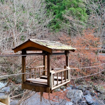 Vallée d'Iya (Shikoku), Pont du singe sauvage