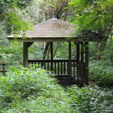 Temple Chion-in à Kyoto, Abri dans la forêt